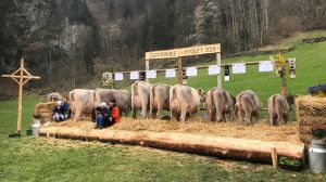 A75_Arnold Manuel_Erstfeld_EVOLET CH 120.0627.0034.1 JONGLEUR-ET 